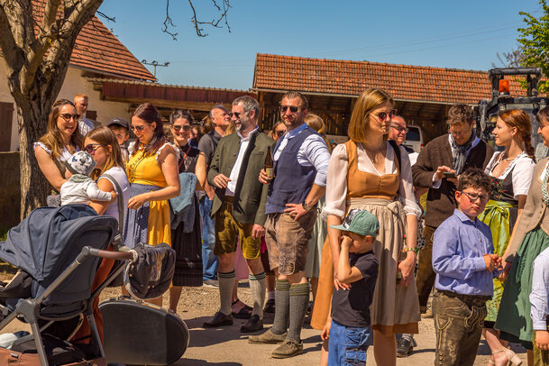 Thumbnail: _JA 31538 Maifest Hohenried 2026.jpg